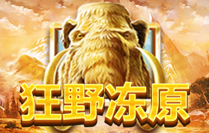 2024白菜彩金网站